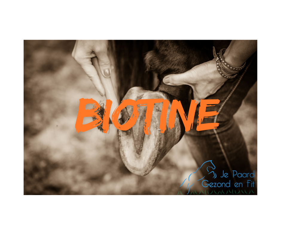 Biotine