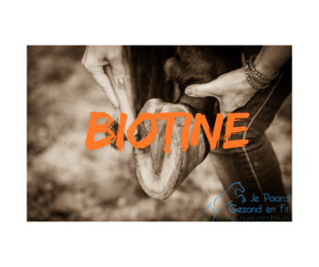 Biotine